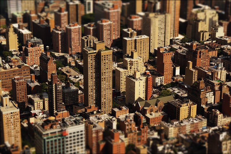 Foraging in Urban Areas