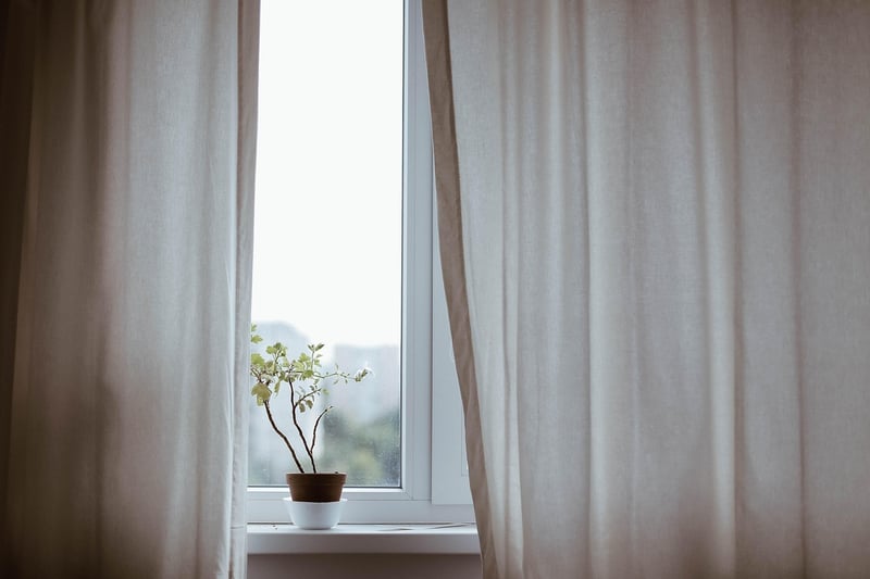 Window Sill Plants