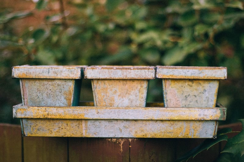 Container Gardening